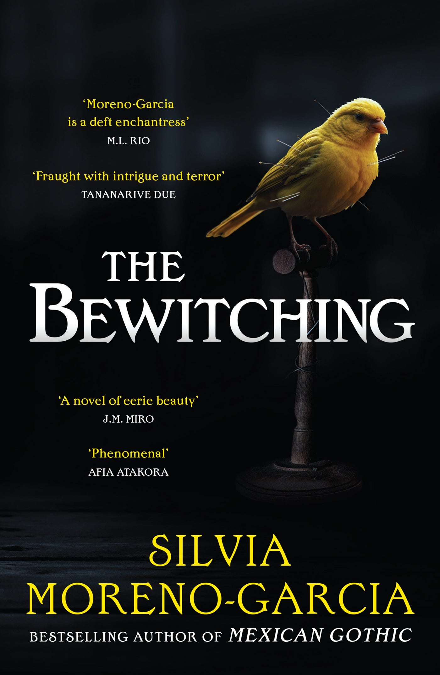 The Bewitching