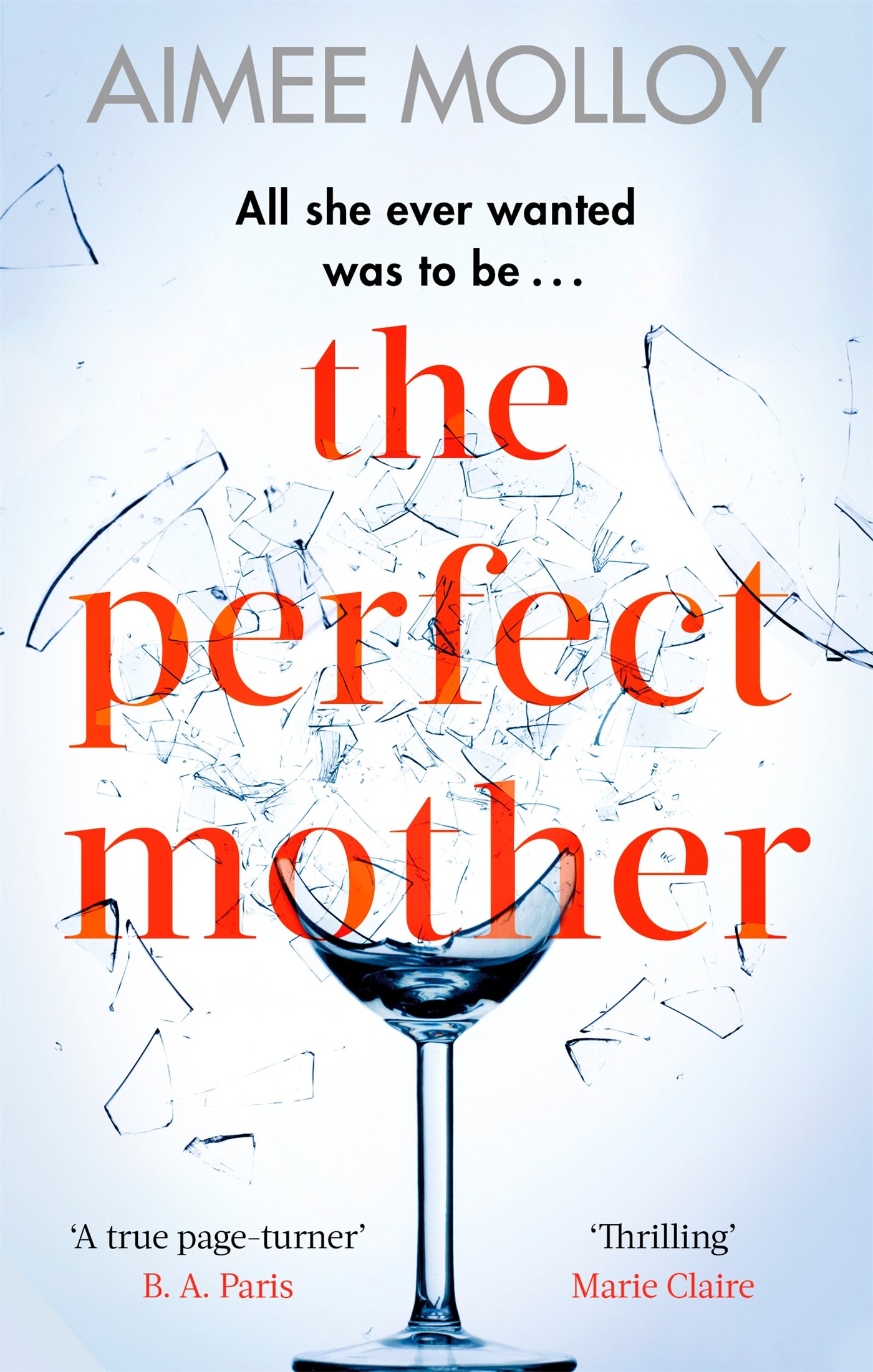The Perfect Mother