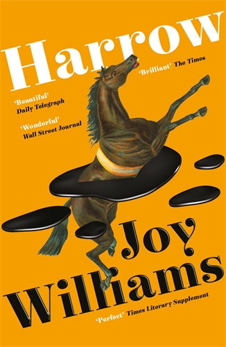 Harrow-Fiction: Modern and contemporary-買書書 BuyBookBook