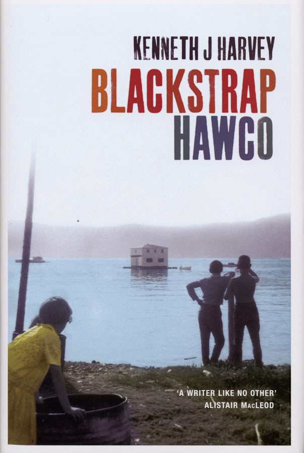 Blackstrap Hawco-Fiction: Modern and contemporary-買書書 BuyBookBook