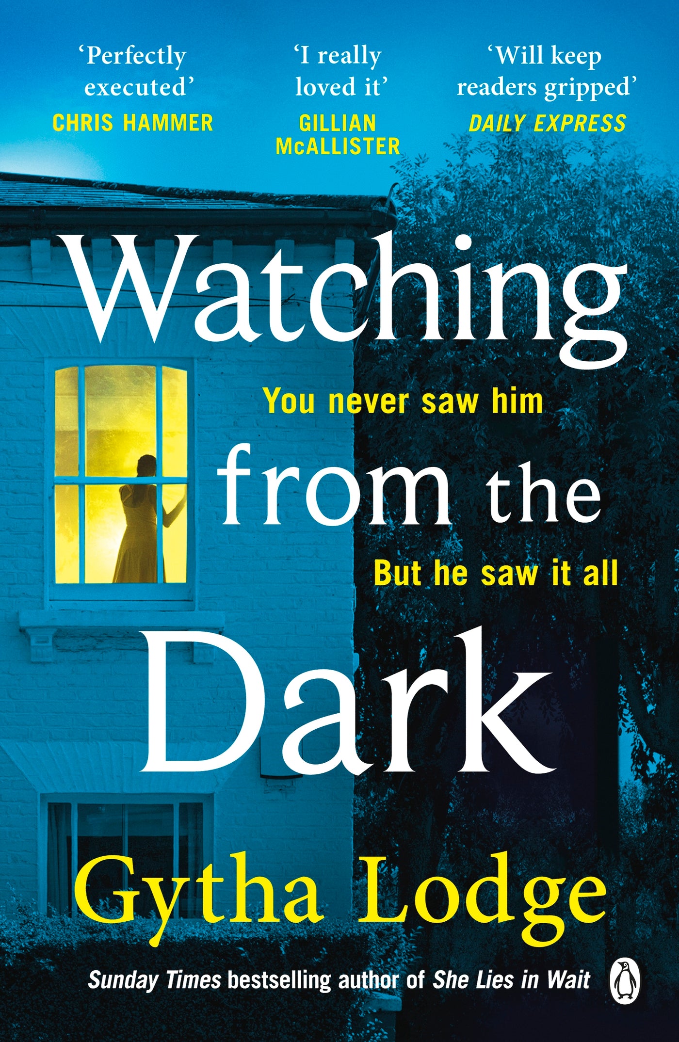 Watching from the Dark
