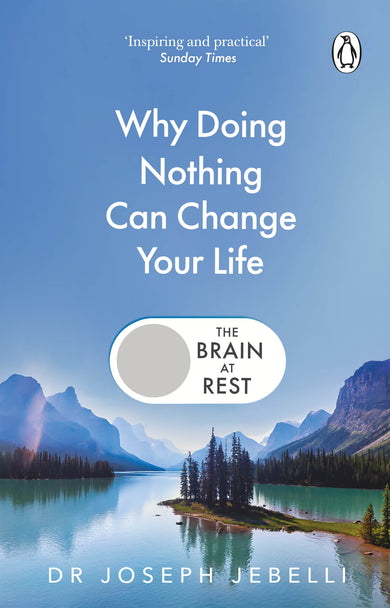 The Brain at Rest
