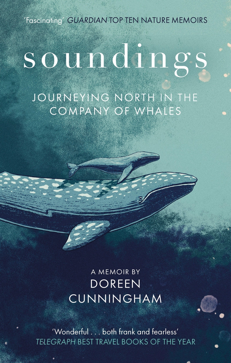 Cover of Soundings (ISBN 9780349014937)
