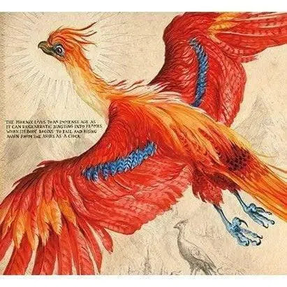 Harry Potter (正版) (#2) and the Chamber of Secrets Illustrated Edition (J.K. Rowling) Fiction: 奇幻魔法 Fantasy & Magical Bloomsbury