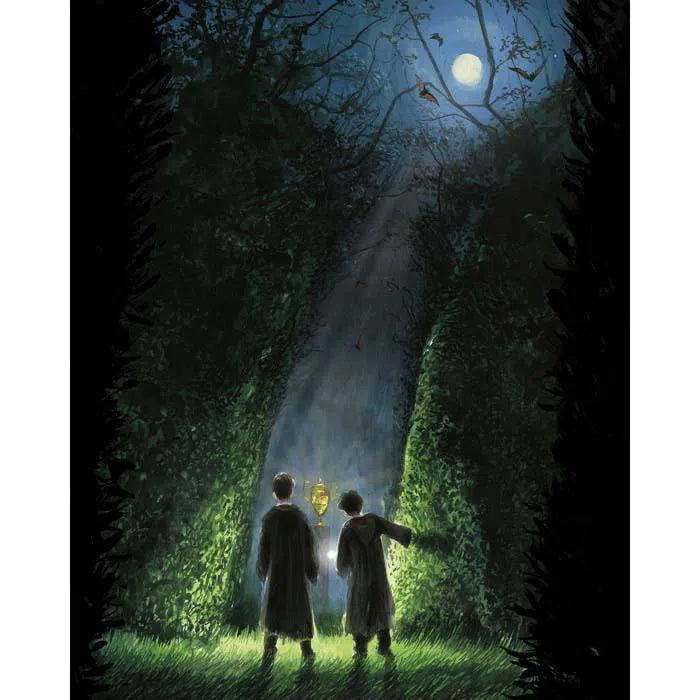 Harry Potter (正版) (#4) and the Goblet of Fire Illustrated Edition (Hardback) (J.K. Rowling) Bloomsbury