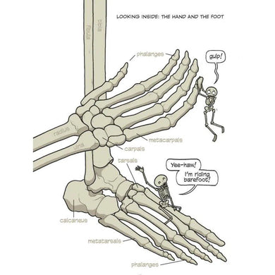 Human Body Theater: A Non-Fiction Revue First Second