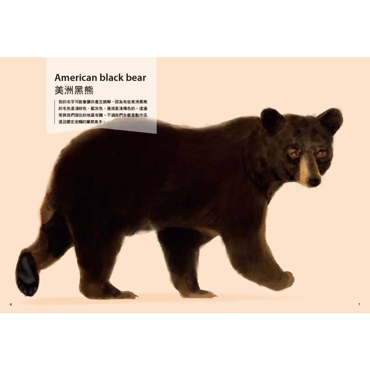 BookImage ISBN 9786267996034 pos 03 cover 8d8182da32