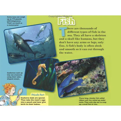 Magic School Bus Presents Sea Creatures Scholastic