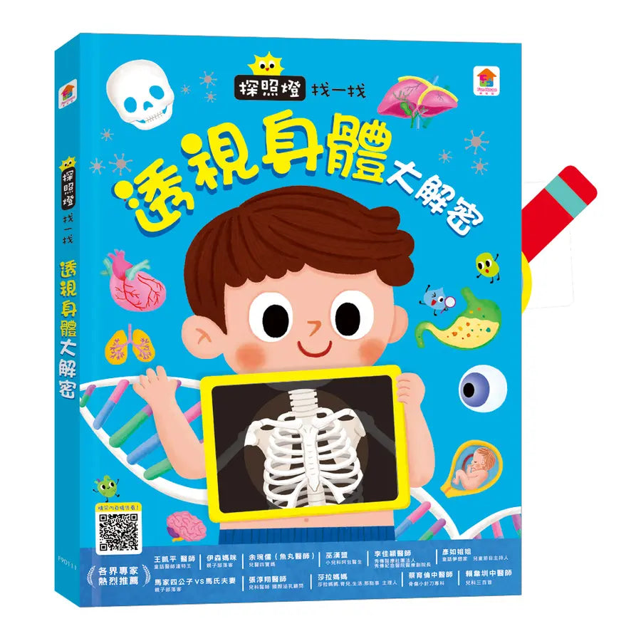 探照燈找一找:透視身體大解密