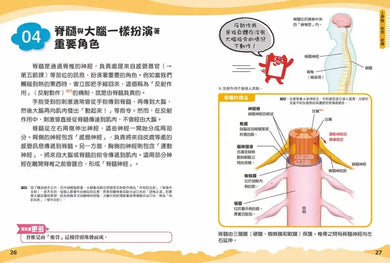 兒童伽利略4: 人體學校-Children’s / Teenage general interest: General knowledge and interesting facts-買書書 BuyBookBook