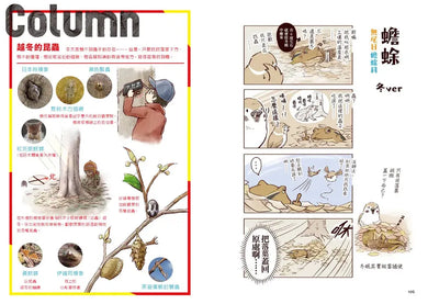 野生動物搞笑日常1:原來牠們這樣生活!用4格漫畫觀察四季生態