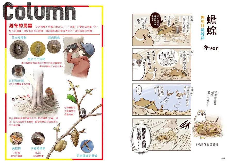 野生動物搞笑日常1:原來牠們這樣生活!用4格漫畫觀察四季生態