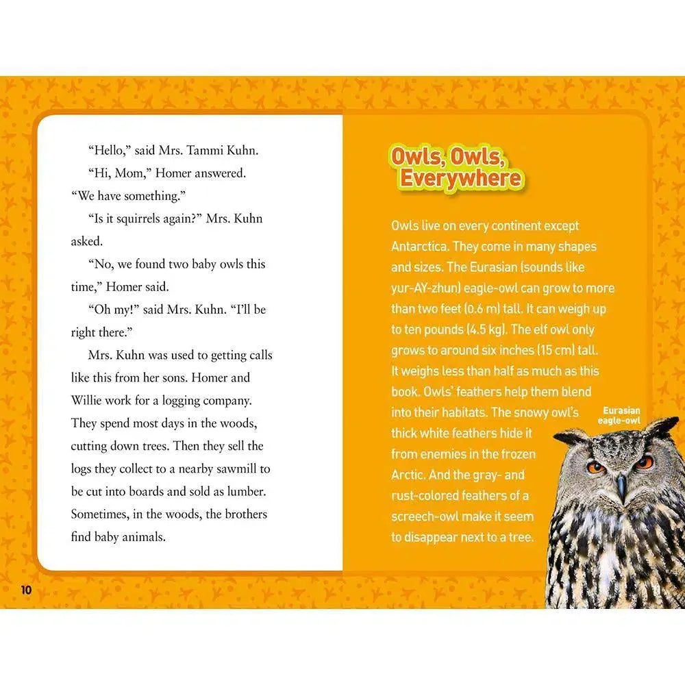 Hoot, Hoot, Hooray (National Geographic Kids Chapters) National Geographic