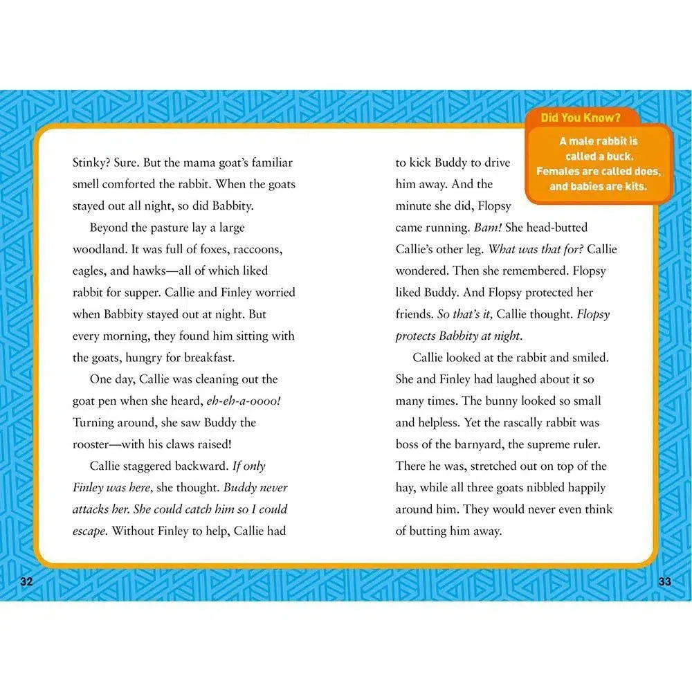 Rascally Rabbits (National Geographic Kids Chapters) National Geographic