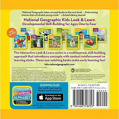 NGK Look and Learn: Bears (Board Book) National Geographic