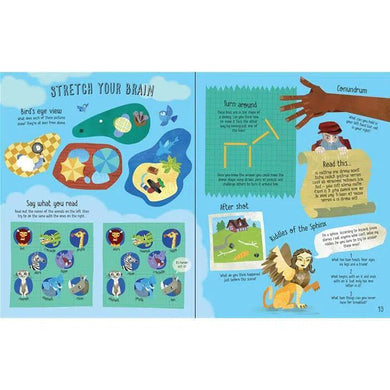 Never get bored book Usborne