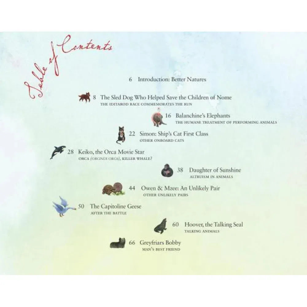 NGK: Animal Stories (Hardback) National Geographic