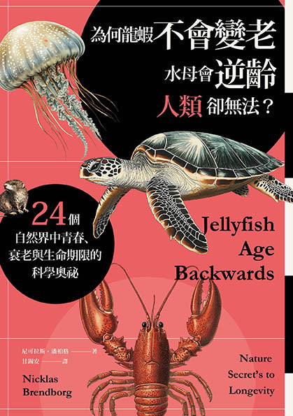 為何龍蝦不會變老,水母會逆齡,人類卻無法?