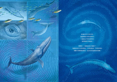 深海之生‧深海之聲(雙頭書 × 雙封面,隨書贈「鯨魚之歌」明信片組2張)-Children’s / Teenage general interest: Nature and animals-買書書 BuyBookBook