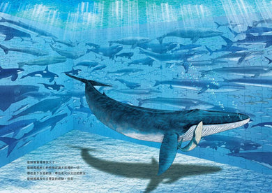 深海之生‧深海之聲(雙頭書 × 雙封面,隨書贈「鯨魚之歌」明信片組2張)-Children’s / Teenage general interest: Nature and animals-買書書 BuyBookBook