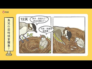 就愛鳥事一籮筐 (35題趣問妙答,愛上鳥事一籮筐)