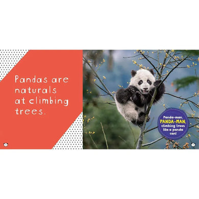NGK: So Cute! Pandas (Hardback) National Geographic