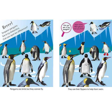 Spot the Difference Animals DK UK