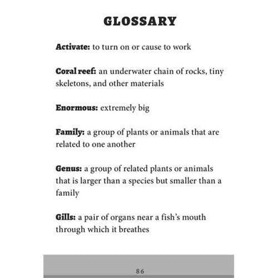 The Magic School Bus Rides Again Sink or Swim (Branches) Scholastic