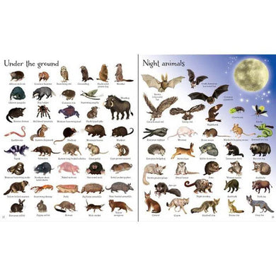 Usborne 1000 Animals Usborne