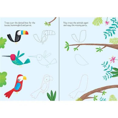 Usborne Little wipe-clean animals to copy and trace Usborne
