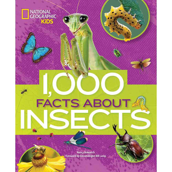 1,000 Facts About Insects (Hardback) - 買書書 BuyBookBook