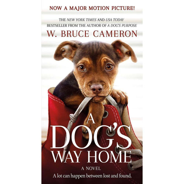 Dog's Way Home, A #01 (W. Bruce Cameron) Macmillan US