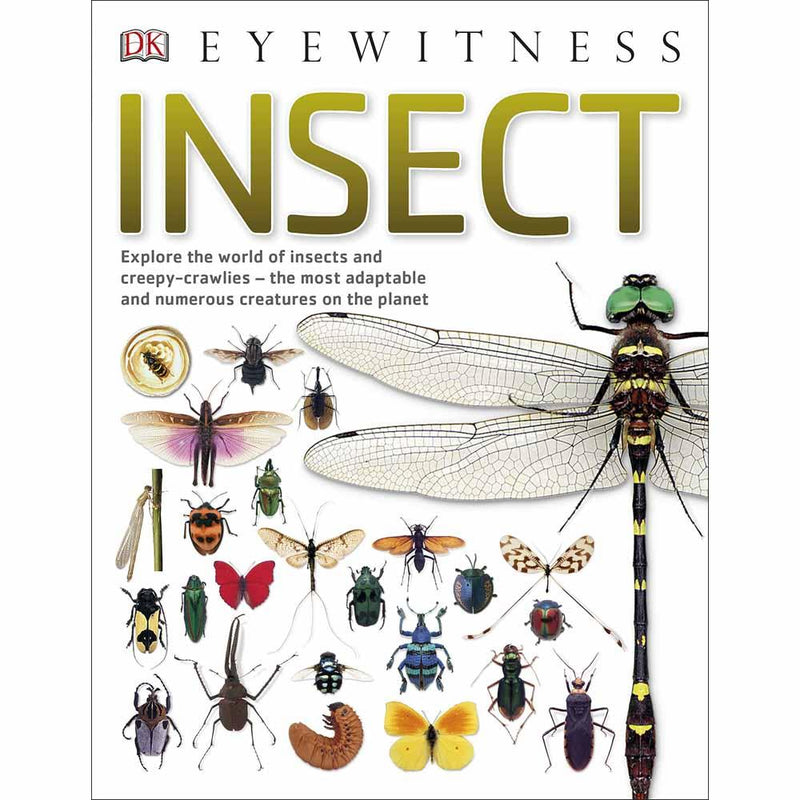 DK Eyewitness - Insect (Paperback) DK UK