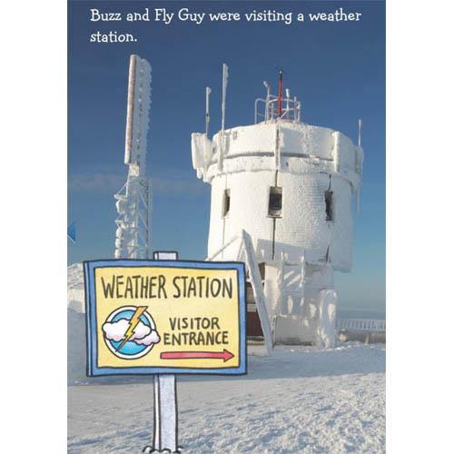 Fly Guy Presents Weather (Tedd Arnold) Scholastic