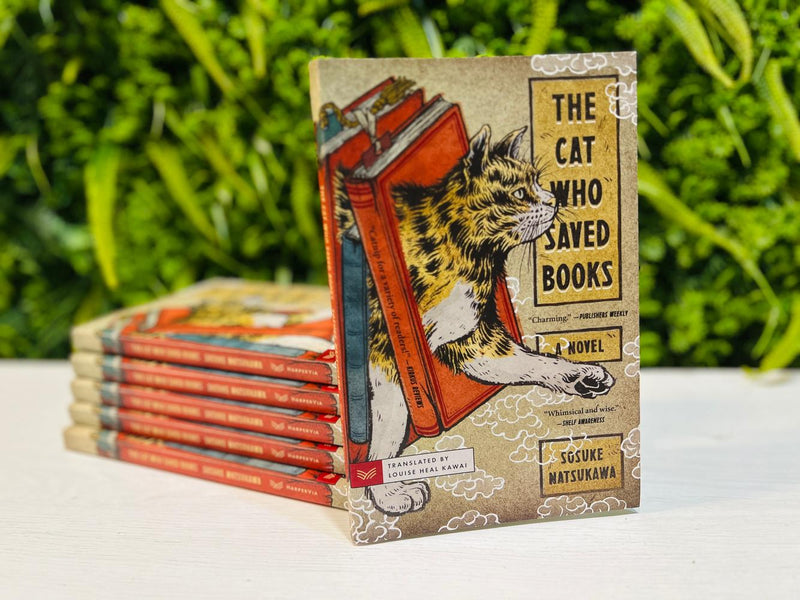 👨‍⚕️👨‍💻「現職醫生+暢銷作家」—— Sosuke Natsukawa