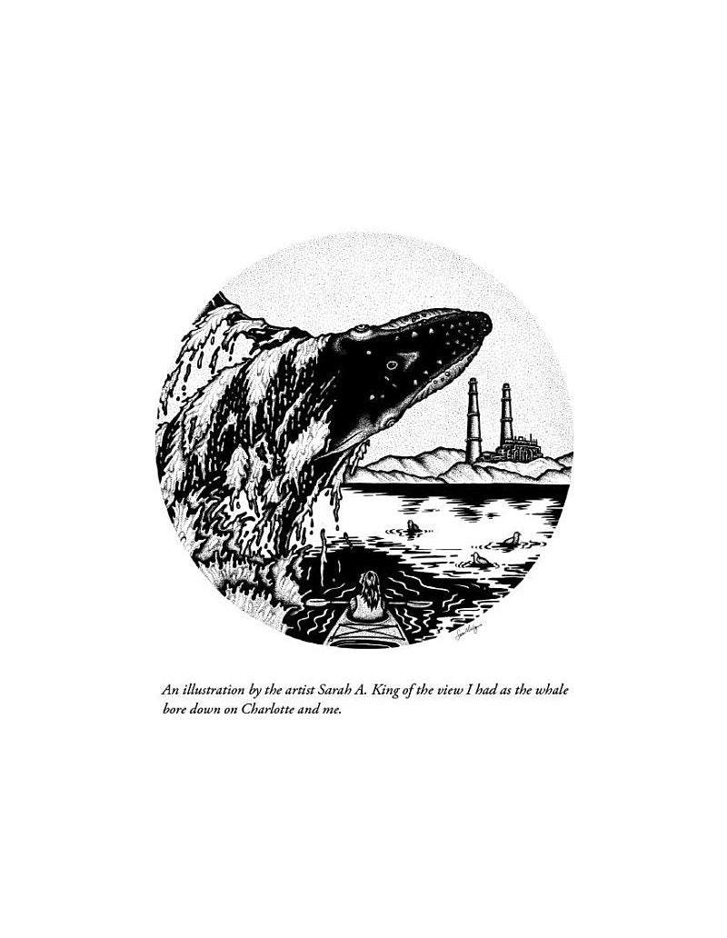 How to Speak Whale (Tom Mustill)-Nature and the natural world: general interest-買書書 BuyBookBook