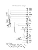 A Brief History of Intelligence (Max S. Bennett)-History and Archaeology-買書書 BuyBookBook