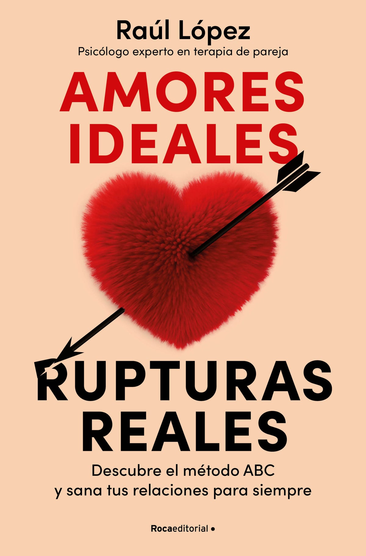 Amores ideales rupturas reales / Ideal Loves, Real Breakups cover (ISBN 9788419965080) [onix:d5b3c152eefb797a601dd24c523faab6]