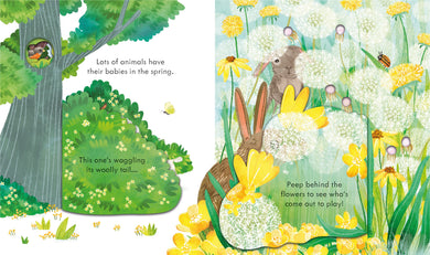 Peep Inside Springtime interior 1 (ISBN 9781803704340) [onix-asset:4c520e0a9edfd56ba4d3837645d3b62d959c99e969fc425f7028c478db9d7285]