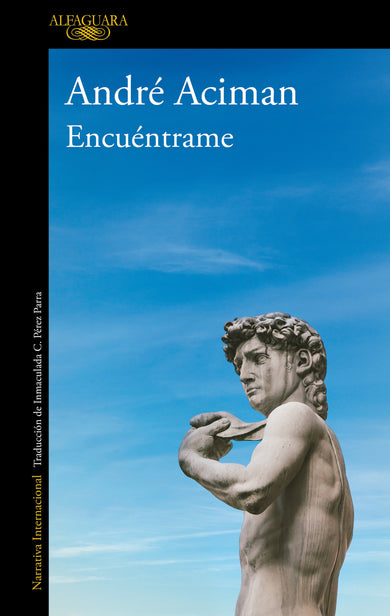 Encuéntrame / Find Me cover (ISBN 9788420439402) [onix:92eb7c784b977c4e958132da770d8a91]