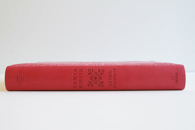 Biblia Reina Valera Revisada 1960 letra súper gigante, símil piel fucsia rosada / Spanish Bible RVR 1960 Super Giant Print, Fuchsia Pink Leathersoft interior 3 (ISBN 9798890980045) [onix:f12bef1a8b1e401a9dbdeb97c27306ff]