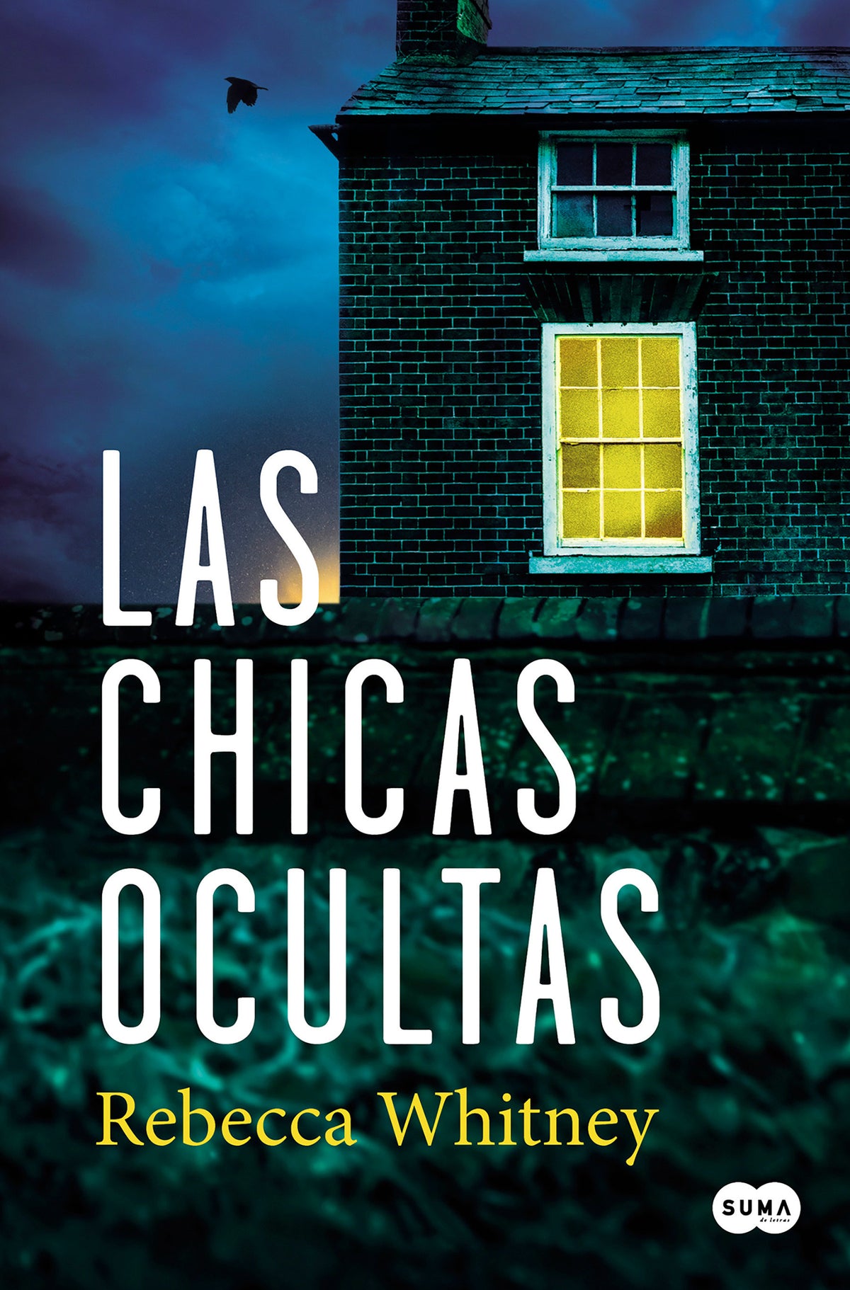 Las chicas ocultas / The Hidden Girls cover (ISBN 9788491295358) [onix:385a494b109a854512b62e55dcc9321b]