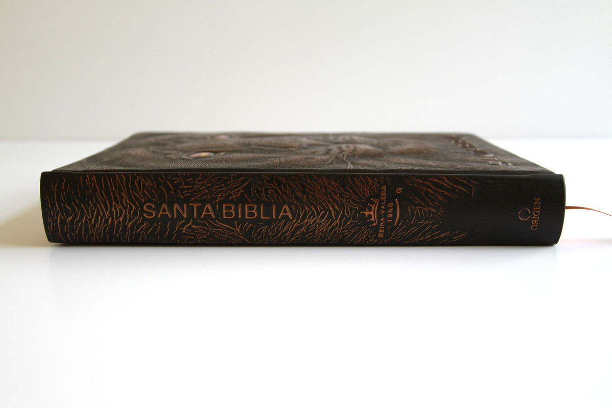 Biblia RVR 1960 Letra grande León de Judá edición especial bronce / Spanish Bible RVR 1960 Large Print Imitation Leather Lion of Judah Special Edition interior 5 (ISBN 9798890980076) [onix:129a34c2d5d8e7cd514cfc20fc4f05b9]