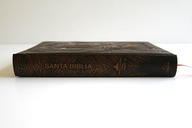 Biblia RVR 1960 Letra grande León de Judá edición especial bronce / Spanish Bible RVR 1960 Large Print Imitation Leather Lion of Judah Special Edition interior 5 (ISBN 9798890980076) [onix:129a34c2d5d8e7cd514cfc20fc4f05b9]