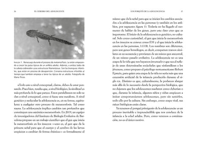 El cerebro del adolescente: Descubre cómo funciona para entenderlos y acompañarlos / The Teenage Brain: Explore Its Workings to Understand and Support Them interior 1 (ISBN 9788425361357) [onix:4fbf508be7b2f07d1239e6ffbefef2fa]