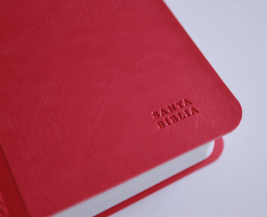 Biblia RVR 1960 letra grande, tamaño manual, Símil piel rosada, edición económica / Spanish Bible RVR 1960 Handy Size, Large Print, Pink Leathersoft interior 8 (ISBN 9798890988232) [onix:705b26123a064dc6b038df1cb0e06287]