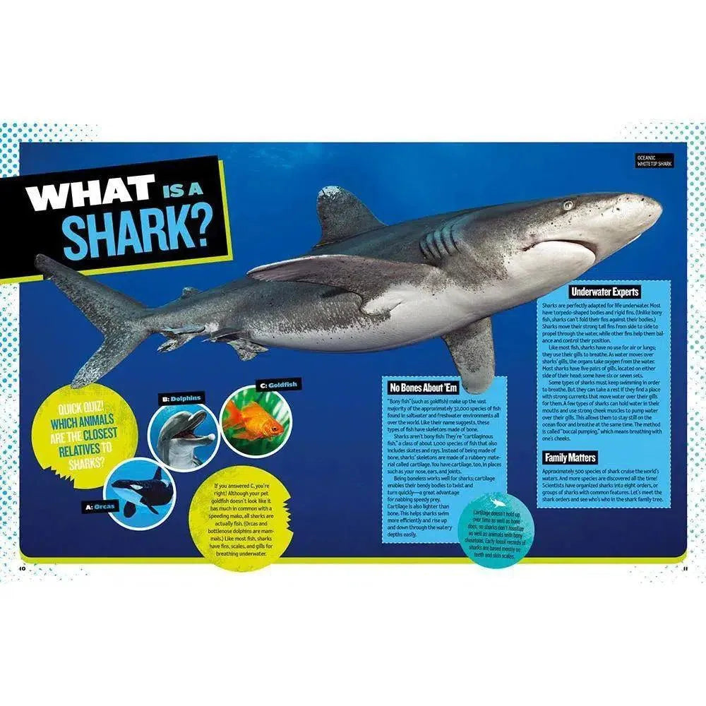 The Ultimate Book of Sharks