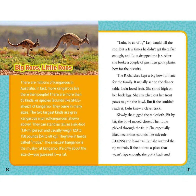 Kangaroo to the Rescue (National Geographic Kids Chapters) National Geographic