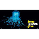 Weird But True 4: Expanded Edition