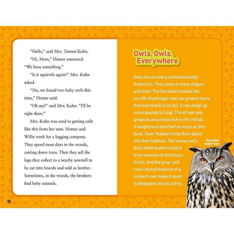 Hoot, Hoot, Hooray (National Geographic Kids Chapters) National Geographic